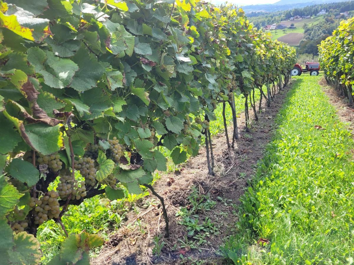 Fantastic View Vineyard Beskid Mountains Gruszow  Экстерьер фото