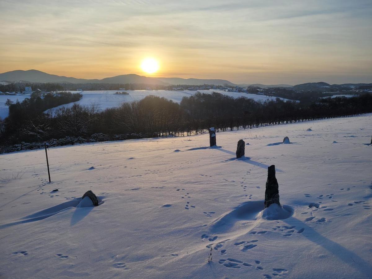 Fantastic View Vineyard Beskid Mountains Gruszow  Экстерьер фото