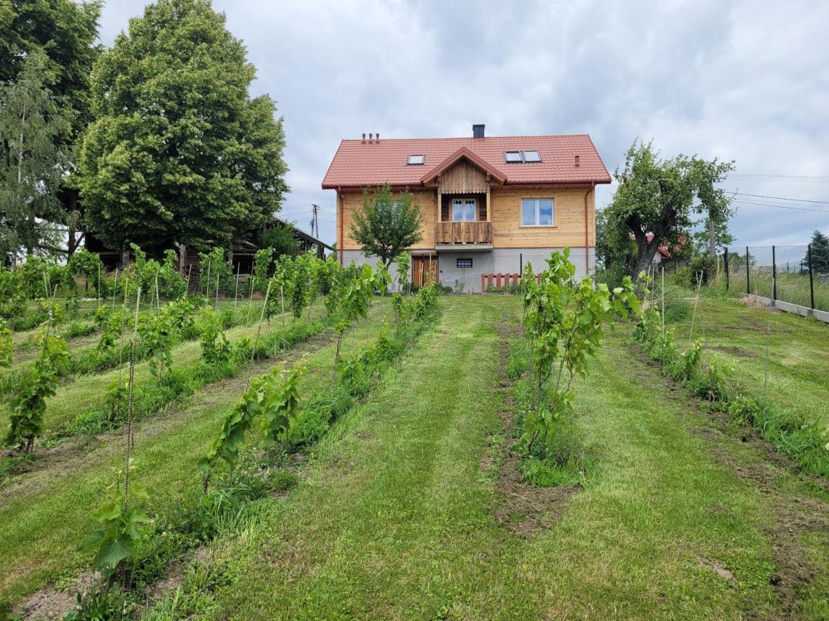 Fantastic View Vineyard Beskid Mountains Gruszow  Экстерьер фото