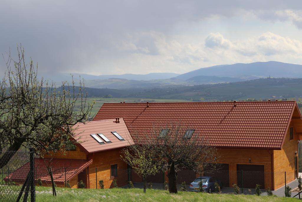 Fantastic View Vineyard Beskid Mountains Gruszow  Экстерьер фото